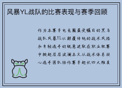 风暴YL战队的比赛表现与赛季回顾